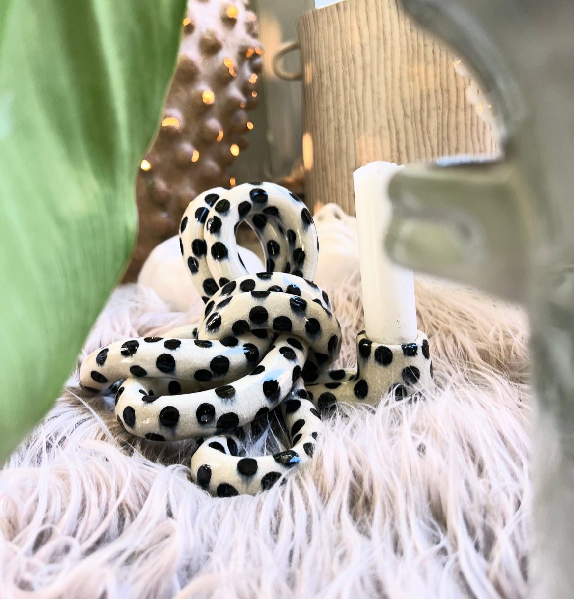 Knut, Storprickig Blank