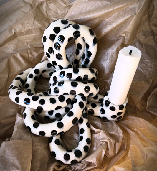 Knut, Storprickig Blank